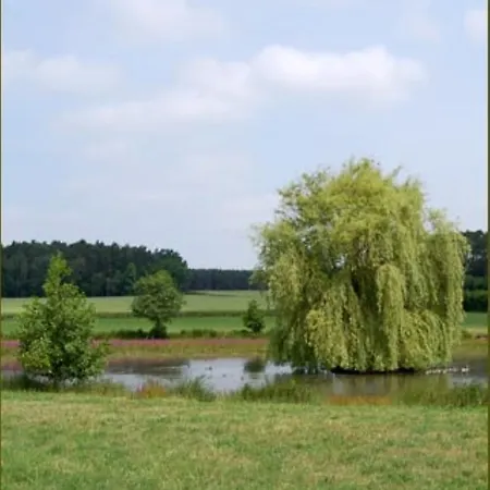 Klaushof 3*